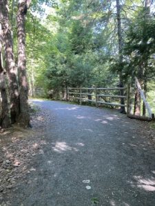 Woodland trail, guard rail on the right