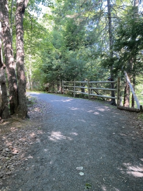 Woodland trail, guard rail on the right